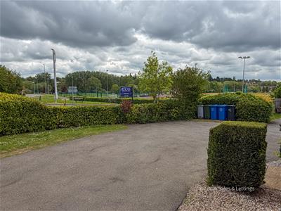 Picture 23